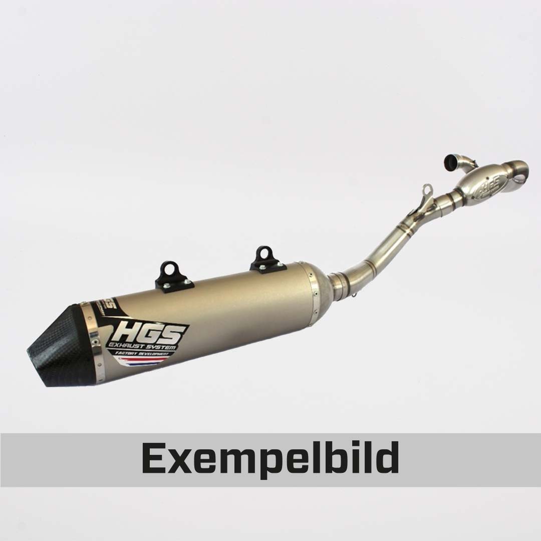 46-62-exhaust-4t-silver-karbon-old.jpg